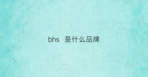 bhs是什么品牌(bhc是什么牌子)